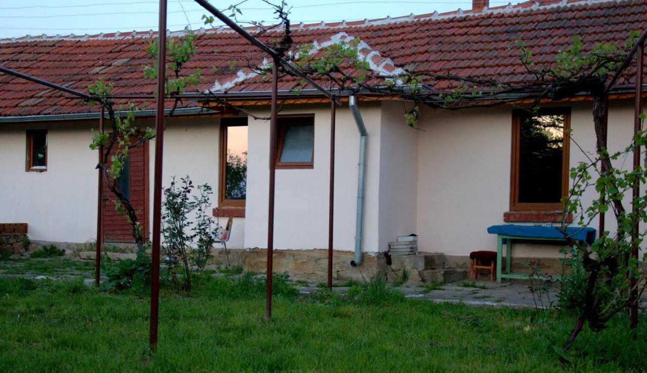 Guest House Art Eco Land Ganchovets Exterior foto