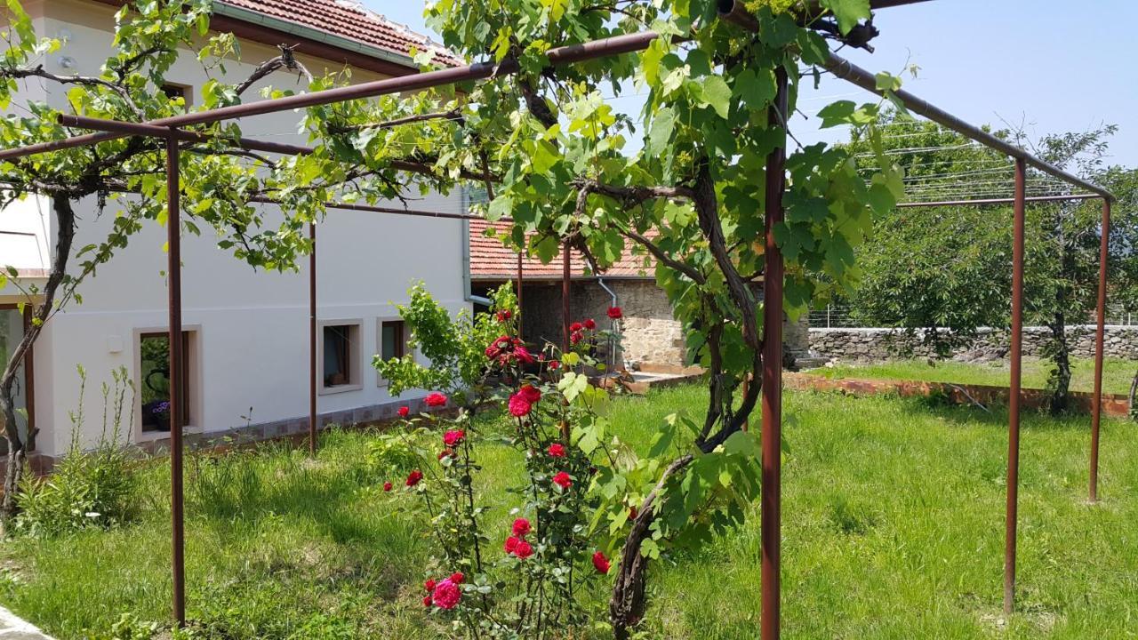 Guest House Art Eco Land Ganchovets Exterior foto